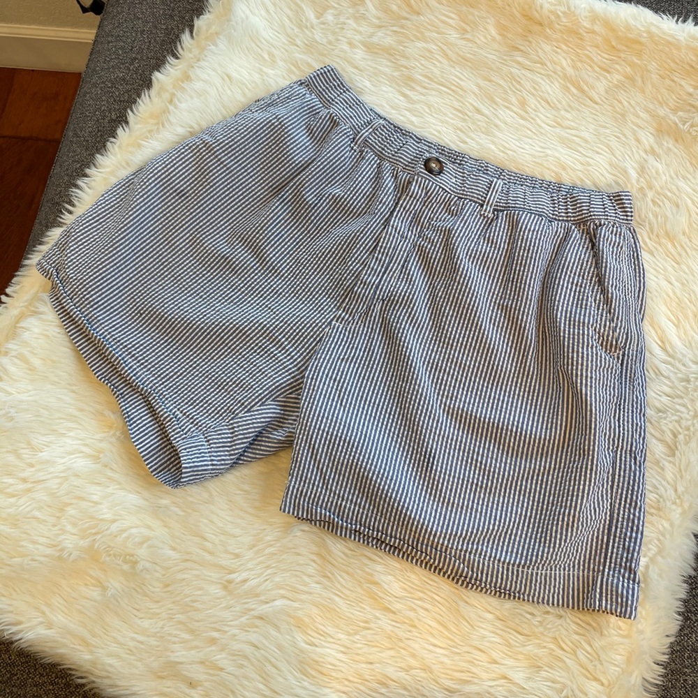 Chubbies Blue and White Striped
